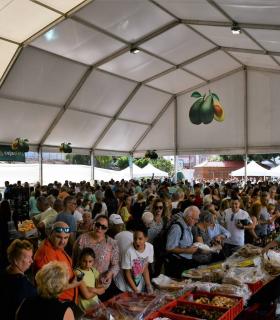 La IV Feria del Aguacate de Mogán recibe a 10.000 personas · foto 4