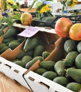 La IV Feria del Aguacate de Mogán recibe a 10.000 personas · foto 2