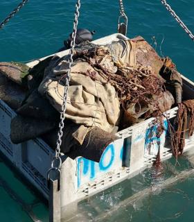 Un centenar de voluntarios contribuyen a limpiar el fondo marino del Puerto de Mogán · foto 2