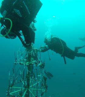 El Rosario: el Club de Buceo El Pejín coloca su árbol de Navidad submarino con el alcalde, Escolástico Gil, como buzo invitado · foto 3
