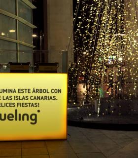 Islas Canarias y Vueling llevan a Bilbao la luz del sol canario para iluminar un árbol de Navidad · foto 3