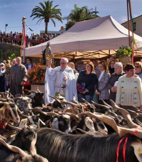 Procesión de San Antonio Abad y Bendición de Animales · foto 24