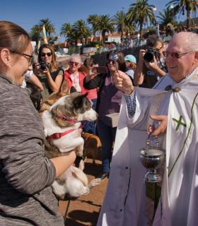 Procesión de San Antonio Abad y Bendición de Animales · foto 19