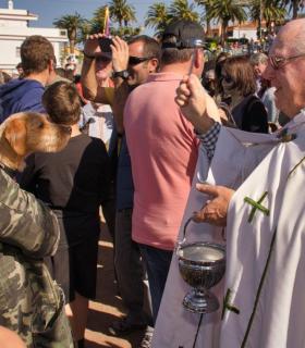 Procesión de San Antonio Abad y Bendición de Animales · foto 20