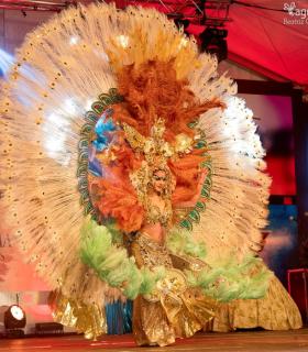 Gala de Elección Reina de la Piñata Chica de Tacoronte. Carnaval 2018 · foto 39