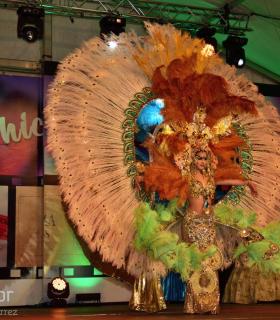Gala de Elección Reina de la Piñata Chica de Tacoronte. Carnaval 2018 · foto 41
