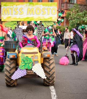 Coso Apoteosis del Carnaval de la Piñata Chica de Tacoronte 2018 · foto 52