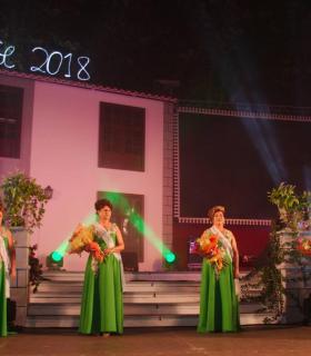 Gala de la Tercera Edad 2018. Fiestas del Cristo de Tacoronte · foto 35