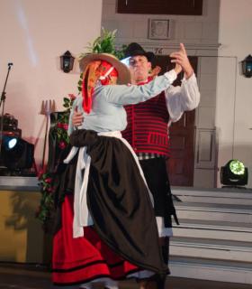 Gala Elección de la Reina de la Vendimia 2018. Tacoronte · foto 18