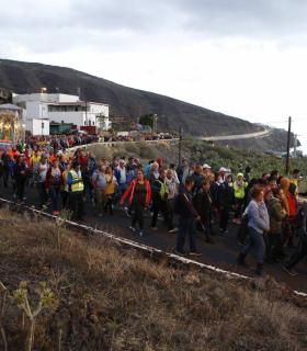 Regreso de la virgen de Candelaria a su basílica · foto 2