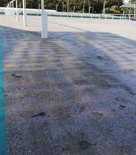 Las Palmas de Gran Canaria: Nuevas Generaciones y el Partido Popular denuncian el estado de dejadez de la zona deportiva de la cubierta de San Telmo · foto 2