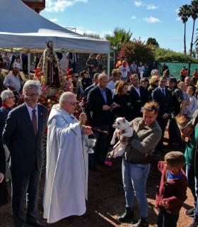 Tacoronte celebra una nueva edición de su feria de ganado en honor a San Antonio Abad · foto 1