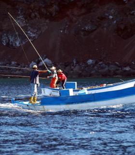 El Cabildo de El Hierro invierte 120.000 euros en el sector pesquero · foto 1