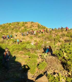 Más de de 300 personas participan en la Ruta el Camino Viejo de Candelaria · foto 1
