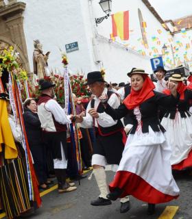 Güímar disfruta de sus tradiciones con la Romería de San Antonio Abad 2019 · foto 2