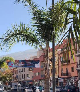 El municipio de Santa Úrsula premia las compras del Día de San Valentín en el comercio local · foto 2