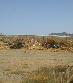 El Ayuntamiento de La Aldea de San Nicolás reforesta dos espacios con 1.400 plantas · foto 1