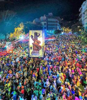 El Carnaval alcanza su ecuador con la celebración del Entierro de la Sardina · foto 3