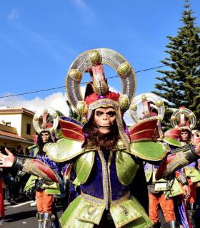 Coso Apoteosis del Carnaval de la Piñata Chica de Tacoronte 2019 · foto 56