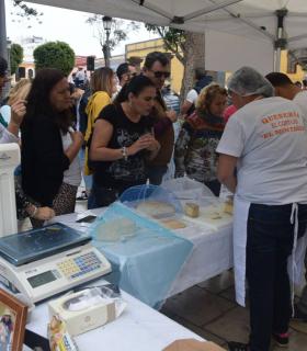 Gáldar premia la labor de los artesanos queseros en su XXII edición de la Feria del Queso · foto 7