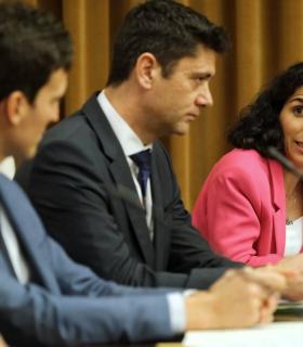 Ashotel pide ser valientes y superar el 45% de renovables que para 2025 fija la Estrategia Energética de Canaria · foto 6
