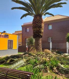 San Cristóbal de La Laguna: Parques y Jardines trabaja en la mejora de la plaza Antonio Yumar, en El Coromoto · foto 1