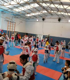 Gran encuentro de clubes de taekwondo en el municipio de Güímar · foto 2