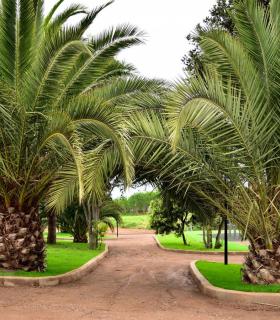 Parque Urbano Hoya Machado · foto 8