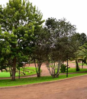Parque Urbano Hoya Machado · foto 9
