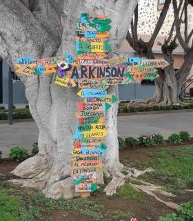 El Día de la Cruz engalana de tradición las calles y plazas del municipio de Granadilla de Abona · foto 2