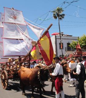 Tegueste se convierte en la capital del folclore y la tradición con la celebración de la LI Romería en honor a San Marcos · foto 1