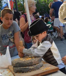 Güímar disfruta un año más de su ‘Fiesta del gofio’ · foto 1