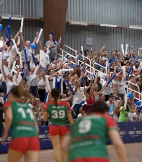 El Balonmano Salud Tenerife es de División de Honor · foto 10