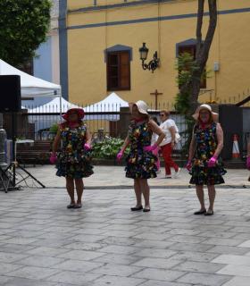 Talleres, música, exhibiciones deportivas realzan la labor de los colectivos y asociaciones de Gáldar en el V Encuentro Juntos Avanzamos · foto 8