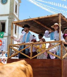 Granadilla de Abona: La romería en honor a San Antonio de Padua vistió de tradición las calles de la Villa histórica · foto 7