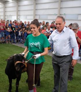 Un macho cabrío joven de la ganadería de Francisco Sosa Pérez y otro adulto de Blas Alonso Viera ganan el concurso morfológico · foto 2