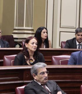 Los diputados electos de ASG toman posesión en la sesión constitutiva del Parlamento · foto 4