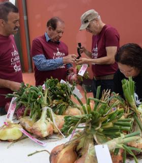 Cebollas con sabor a Premio · foto 4
