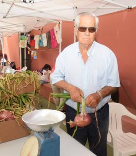 Cebollas con sabor a Premio · foto 13