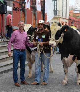 El mejor ganado de la isla desfila orgulloso ante Santiago de los Caballeros de Gáldar · foto 9