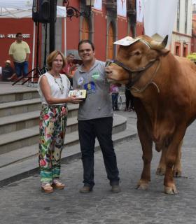 El mejor ganado de la isla desfila orgulloso ante Santiago de los Caballeros de Gáldar · foto 7