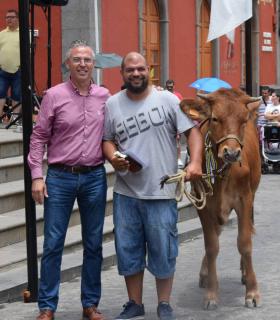 El mejor ganado de la isla desfila orgulloso ante Santiago de los Caballeros de Gáldar · foto 15