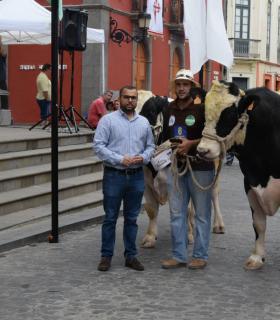 El mejor ganado de la isla desfila orgulloso ante Santiago de los Caballeros de Gáldar · foto 8