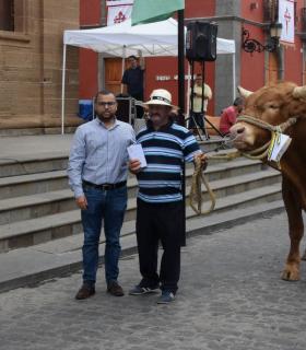 El mejor ganado de la isla desfila orgulloso ante Santiago de los Caballeros de Gáldar · foto 6
