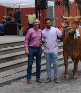 El mejor ganado de la isla desfila orgulloso ante Santiago de los Caballeros de Gáldar · foto 13