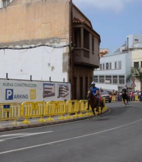 Cerca de 3.000 personas disfrutan en Gáldar de la Carrera de Caballos en honor a Santiago · foto 5