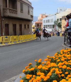 Cerca de 3.000 personas disfrutan en Gáldar de la Carrera de Caballos en honor a Santiago · foto 9