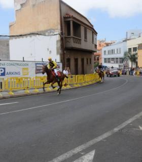 Cerca de 3.000 personas disfrutan en Gáldar de la Carrera de Caballos en honor a Santiago · foto 8