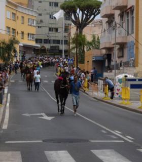 Cerca de 3.000 personas disfrutan en Gáldar de la Carrera de Caballos en honor a Santiago · foto 11