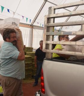 El Ayuntamiento de Gáldar hace entrega de 24.000 kilos de alfalfa y millo a los ganaderos afectados por los incendios · foto 1
